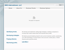 Tablet Screenshot of nnsinternational.com